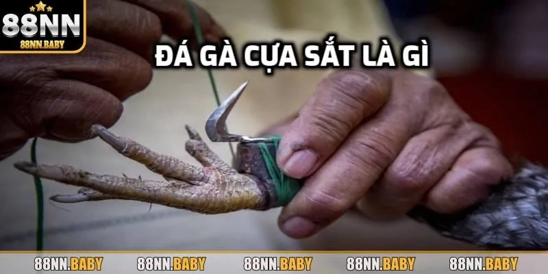 Khái quát về đá gà cựa sắt tại 88NN
