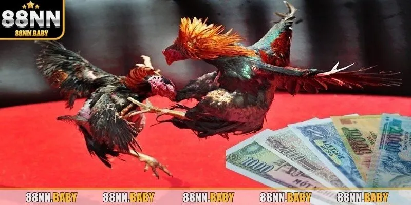 Lựa chọn mức cược phù hợp với tài chính