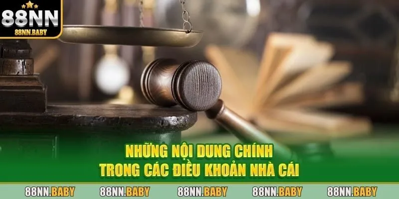Tìm hiểu chính sách điều khoản và điều kiện