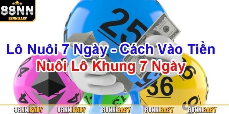 Tổng hợp các cách nuôi lô 7 ngày hiệu quả nhất