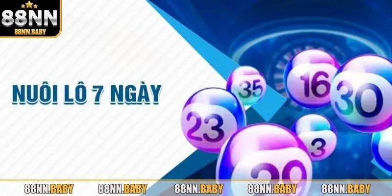 Tìm hiểu khái quát về nuôi lô 7 ngày